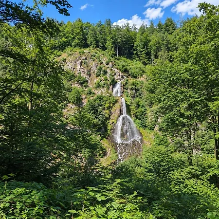Lieselotte In The Heart Of The Thuringian Forest Vakantiehuis *