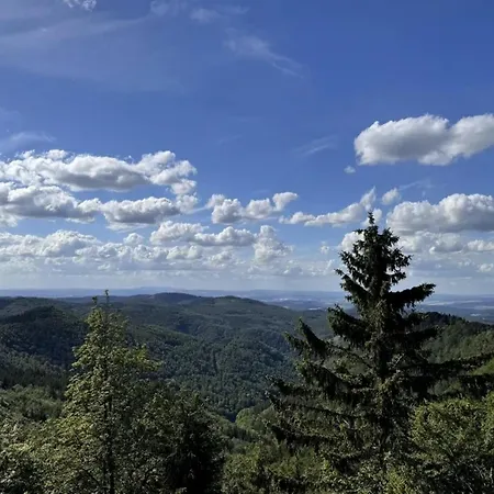 Lieselotte In The Heart Of The Thuringian Forest Vakantiehuis *