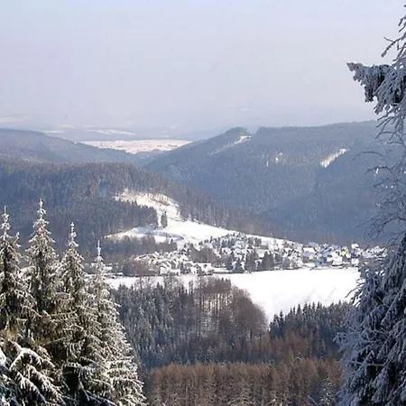 Lieselotte In The Heart Of The Thuringian Forest Brotterode